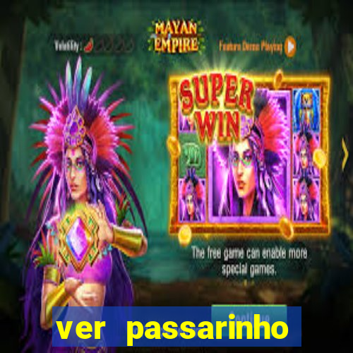 ver passarinho morto significado espiritual